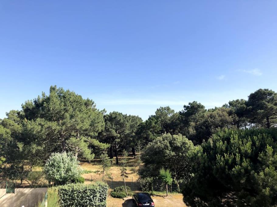 Appartement au coeur des pins, plage à 400 mètres Les Sables-dʼOlonne Extérieur photo